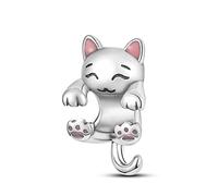 TINSLO Charme Perles en argent sterling 925 pour bracelet et collier Pandora Compatible avec bracelets européens pour femmes et filles B3