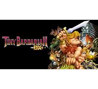 TINY BARBARIAN DX (Nintendo)