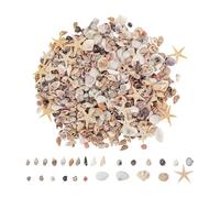Tiny Craft Seashells - Accents océan authentiques, coquilles miniatures de projet créatif DIY, bol de poisson vibrant, pièces de poisson étoilé, mélange de bougies d'art en résine - pour amateurs