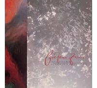 Tiny dynamime Echoes in a shal