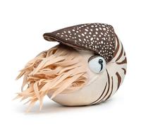 Tiny Heart 7.8in Peluche Nautile Imitation,Peluche réaliste Nautile et Douce,Collection d'animaux Sauvages Mignons, idéale pour la décoration la Maison, Compagnon Jeu pour Enfants-Marron