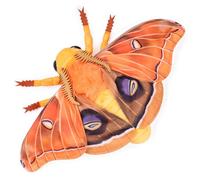 Tiny Heart Jouet en Peluche Sphinx Polyphonique Douce pour Enfants Sphinx Polyphonique Orange 11.8in Jouet en Peluche Sphinx Polyphonique Mignonne Simulation SéRie Vie Marine Animal en Peluche