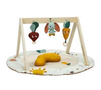 Tiny Love - Tapis d éveil avec arche en bois Luxe Gymini - Garden of Adventures