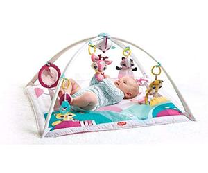 Tiny Love Petit Tapis LiebeDVD Gymini Prince