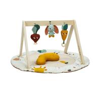 Tiny Love – Tapis d'éveil Luxe Gymini – activités 360°, arches ajustables – Garden of Adventures