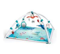 TINY LOVE Tapis d'Éveil et Mobile Musical 2 en 1, avec arches ajustables, dès la naissance