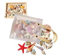 Tiny Seashells For Crafts - Natural Sea Theme Candle Making Starfish Small