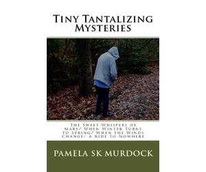 Tiny Tantalizing Mysteries: The Sweet Whispers Of Mary/ When Winter Turns To Spring/ When The Winds Change/ A Ride To Nowhere