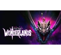 Tiny Tinas Wonderlands (PS4)