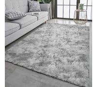 Tinyboy-hbq Tapis Moderne et Doux Tapis de Salon à Poils Longs et Épais, Antidérapant (Gris Blanc, 200 * 200cm)