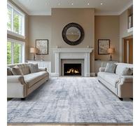 Tinyboy-hbq Tapis Salon Lavable 250x300cm, Tapis Chambre Antidérapant Doux Gris Moderne Poil Ras Grand Tapis Bleu