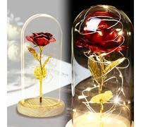 TINYOUTH Forever Rose dans un dôme en verre, rose rouge 24 K avec 20 LED, guirlande lumineuse de 2 m de long, 3 piles AAA incluses, pour Noël, Thanksgiving, mariage, fête des mères, Saint-Valentin