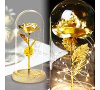 TINYOUTH Rose en Verre 24K La Belle et la Bête Rose dans Le Verre Lumière Rose dans Un dôme Verre Rose en plaqué Or 24 carats avec 20LED Guirlande Lumineuse 2m, Fonctionne avec Piles AAA pour Mariage