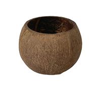 tinysiry Bols en Noix de Coco, Porte-Noix décoratif pour Bol de Stockage de clés, Bol de Stockage Fait à la Main en Coquille de Noix de Coco Naturelle Multi-usages sans bavures C
