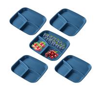 Tioheam Assiettes À Compartiments,Plateau de Service 3 Compartments - Set de 5 Assiettes avec Séparations - Pour Légumes Salade Riz Fromage Fruits Repas Adulte Cuisine