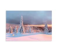 TIOQFJD Impression sur toile de paysage d'hiver au pays des merveilles - Décoration murale pour salon, chambre à coucher - 20 x 30 cm