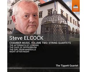 Tippett Quartet,the - Kammermusik Vol.2