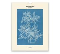 Tirage - Herbier des mers - Édition illustrée - Anna Atkins - Reliefs Editions - Beau livre