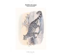 Tirage - Panthère des neiges - Edition illustrée - Joseph Wolf - Reliefs Editions - Coffret - Beau livre