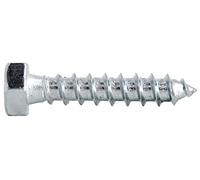 Tirefond acier zingué DIN 571 10X40 boîte de 100 - - 14110040