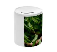 Tirelire Céramique Blanche - Écureuil Chipmunk dans la forêt Vie Sauvage Animal - Boîte à Monnaie avec Bouchon Décoration Chambre Imprimé en France