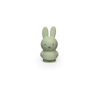 Tirelire enfant Miffy taille S Eucalyptus