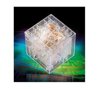 Tirelire - INFACTORY - Labyrinthe 3D - Plexiglas - Blanc - Asymétrique