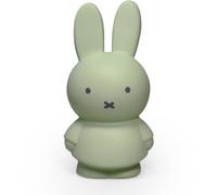 Tirelire miffy vert, noir TU