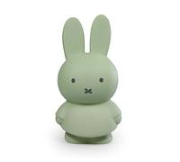 Tirelire Miffy Warm Atelier Pierre Junior 19 cm Vert TU