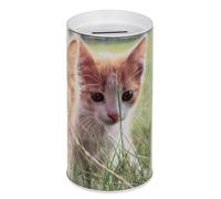 Tirelire pour enfants chiots chiens et chats Tirelire originale en étain avec couvercle Tirelire en étain pour enfants qui peut également être utilisée comme pot à crayons (chaton blanc)