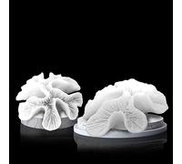 Tirifer Lot de 2 décorations de Corail Blanc, récif de Corail Artificiel, décoration de Table pour la Maison, Le Salon, la décoration de Mariage