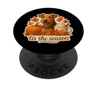 Tis The Season Airedale Terrier Chien Automne Automne Citrouille Mignon PopSockets PopGrip Adhésif