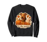 Tis The Season Airedale Terrier Chien Automne Automne Citrouille Mignon Sweatshirt