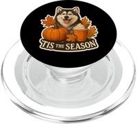 Tis The Season Alaska Malamute Chien Automne Citrouille PopSockets PopGrip pour MagSafe
