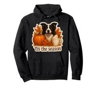 Tis The Season Border Collie Chien Automne Automne Citrouille Épice Sweat à Capuche