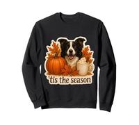 Tis The Season Border Collie Chien Automne Automne Citrouille Épice Sweatshirt