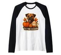 Tis The Season Border Terrier Chien Automne Automne Citrouille Épice Manche Raglan