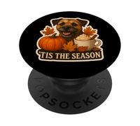 Tis The Season Border Terrier Chien Automne Automne Citrouille Épice PopSockets PopGrip Adhésif