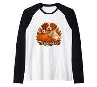 Tis The Season Bretagne Chien Automne Automne Citrouille Épices Latte Manche Raglan