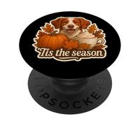 Tis The Season Bretagne Chien Automne Automne Citrouille Épices Latte PopSockets PopGrip Adhésif