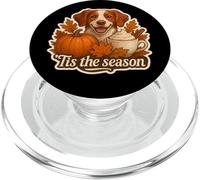 Tis The Season Bretagne Chien Automne Automne Citrouille Épices Latte PopSockets PopGrip pour MagSafe