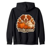 Tis The Season Bretagne Chien Automne Automne Citrouille Épices Latte Sweat à Capuche