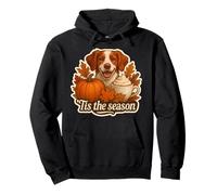 Tis The Season Bretagne Chien Automne Automne Citrouille Épices Latte Sweat à Capuche