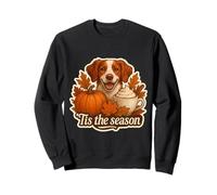 Tis The Season Bretagne Chien Automne Automne Citrouille Épices Latte Sweatshirt