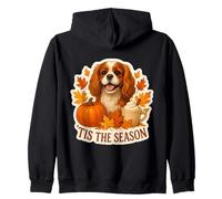 Tis The Season Cavalier King Charles Chien Automne Citrouille Sweat à Capuche