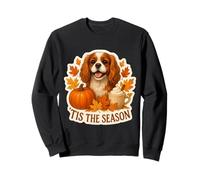 Tis The Season Cavalier King Charles Chien Automne Citrouille Sweatshirt
