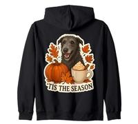Tis The Season Chien écossais Deerhound Automne Automne Citrouille Sweat à Capuche