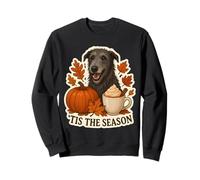 Tis The Season Chien écossais Deerhound Automne Automne Citrouille Sweatshirt