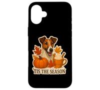 Tis The Season Chien Fox Terrier Automne Automne Citrouille Coque pour iPhone 16 Plus