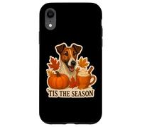 Tis The Season Chien Fox Terrier Automne Automne Citrouille Coque pour iPhone XR